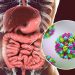 De qué se trata el norovirus, el virus del vómito que preocupa por su alta contagiosidad