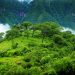 Turismo en las YUNGAS : El paraíso de Jujuy