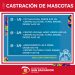 Castraciones y vacunatorios cerca de tu casa