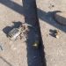Reportaron un hecho de vandalismo en el sistema de bombeo cloacal en el barrio ODIJ de Alto Comedero.