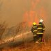 Alerta roja en todo Jujuy:  Los incendios no dejan de cesar en  la provincia
