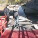 Quedó habilitada la pasarela en el extremo sur del Parque Xibi Xibi