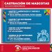 Cronograma semanal de castración