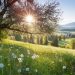 Equinoccio de Primavera 2021: ¿Qué es y cuándo empieza en Argentina?
