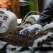 A un año de su creación más de 800 personas fueron atendidas por internación domiciliaria