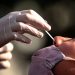 Solo seis variantes del coronavirus permanecen bajo la lupa de la Organización Mundial de la Salud