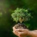 Día Mundial de Protección de la Naturaleza: ¿Por qué se celebra hoy 18 de octubre?