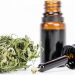 Ordenan a una obra social proveer aceite de cannabis a un paciente con epilepsia