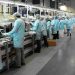 El nivel de actividad superó el shock pandémico, pero sigue debajo del promedio de 2018-2019