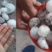 Granizó en diferentes localidades de Jujuy y anuncian tormentas