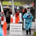 Covid-19: OMICRON, la nueva variante del coronavirus preocupa a todo el mundo