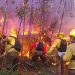 En Jujuy ya son más de 4000 hectáreas consumidas por el fuego