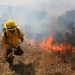 Los incendios forestales en la Patagonia no dan tregua y varias provincias continúan con focos activos