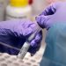 Deltracron: ¿Un "error de laboratorio" podría haber generado esta nueva cepa?