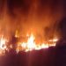 Un camión se incendió en una ruta de Córdoba y el conductor murió calcinado