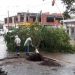 Desbordes de canales y caída de árboles en Monterrico tras el temporal