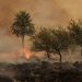 Después de dos meses de sequía, la lluvia apagó todos los incendios de Corrientes