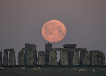 Luna rosa de abril 2022: qué es, cuándo y dónde verla