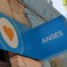 AUH: Anses habilita el cambio de titularidad