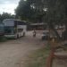 Colectivo que realizaba viajes especiales de larga distancia fue demorado