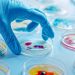 Uso de biotecnología innovadora en Jujuy para el tratamiento de residuos de mataderos
