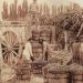 De los egipcios a Sarmiento: así fue como Mendoza se convirtió en Capital Mundial del Malbec