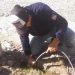 Roban cables del alumbrado público en Monterrico