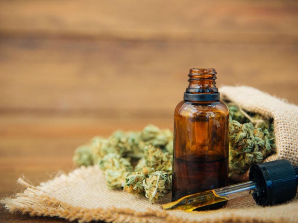 Se oficializó la promulgación de la ley de Cannabis Medicinal y Cáñamo Industrial – Notinor Jujuy