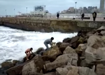 Un hombre se tiró al mar para rescatar a un perro que cayó cuando paseaba con sus dueños