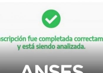Bono IFE 4 2022: ANSES publicó el listado de aprobados