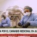 La CNN destacó a Jujuy como polo de producción de Cannabis Medicinal en Argentina