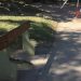 Repudio frente a los actos de vandalismo en Plaza San Marino
