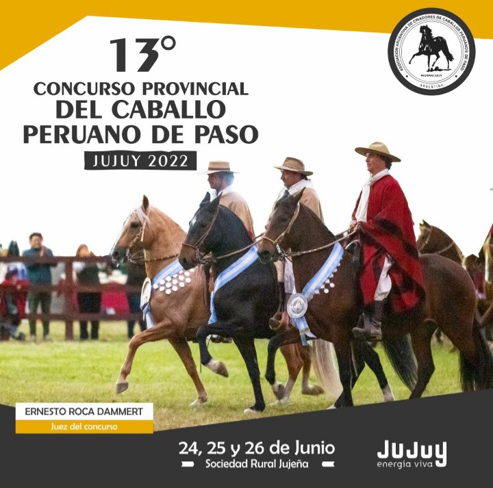 13º Concurso Provincial de Caballos Peruanos de Paso – Notinor Jujuy