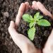 Día Mundial del Medio Ambiente: ¿Por qué se celebra el 5 de junio?