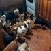 Desbaratan un criadero ilegal con más de 120 perros: algunos eran vendidos a 360 mil pesos