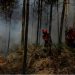 Incendios se extienden por sur de Europa, España vive pico de la ola de calor
