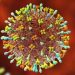 Henipavirus: detectan en China 35 casos en humanos de un nuevo virus de origen animal
