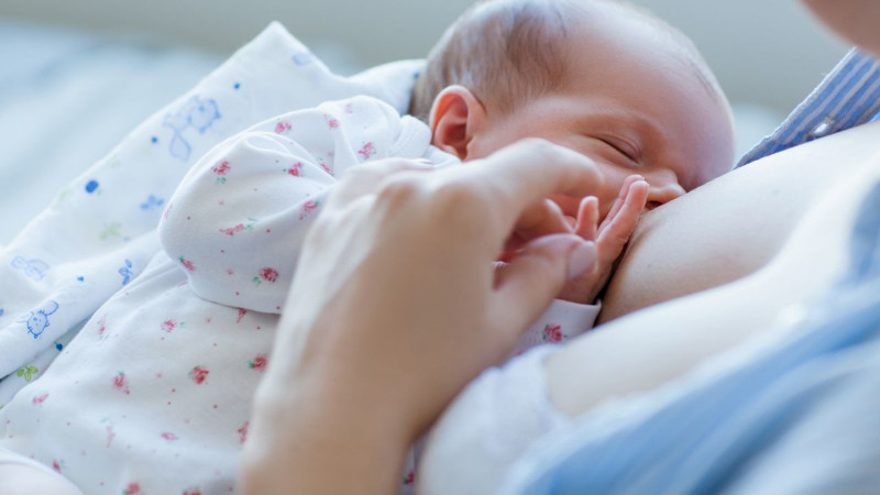 Mitos y verdades sobre la lactancia materna – Notinor Jujuy