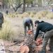 Se realizan trabajos de mantenimiento en el Parque Xibi Xibi
