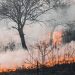 Llegaría la lluvia a Jujuy: esperan que contenga el fuego en las Yungas