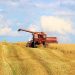 Se celebra el Día del Agricultor: el suceso histórico que dio origen a este festejo en el país