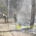 El Gobierno de Jujuy presentó una denuncia penal por los incendios intencionados
