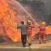 Ocho provincias de la Argentina registran incendios forestales