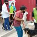 Continúa la campaña de vacunación antirrábica