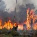 Incendio en Yuto: alarma por la cercanía al Parque Calilegua