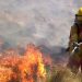 Aumentarán los montos de las multas por provocar incendios en Jujuy