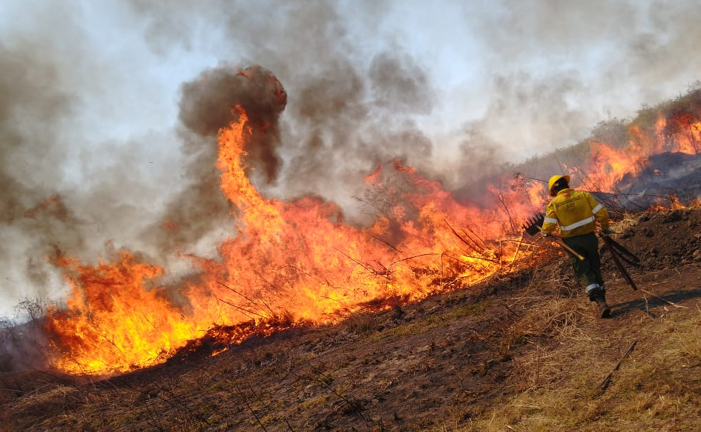 Los incendios en Jujuy siguen activos y ya se quemaron casi 8.000 hectáreas de bosque – Notinor Jujuy
