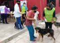 Continúa la campaña de vacunación antirrábica