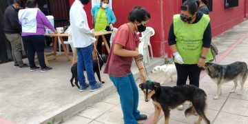 Continúa la campaña de vacunación antirrábica