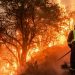 Refuerzan acciones de control de focos de incendios en el Ramal